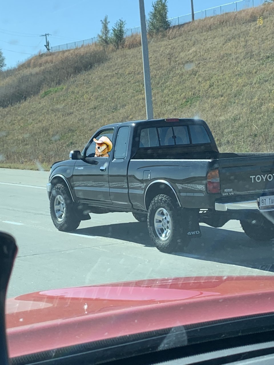 spotted me on 75 im Bellevue.jpg