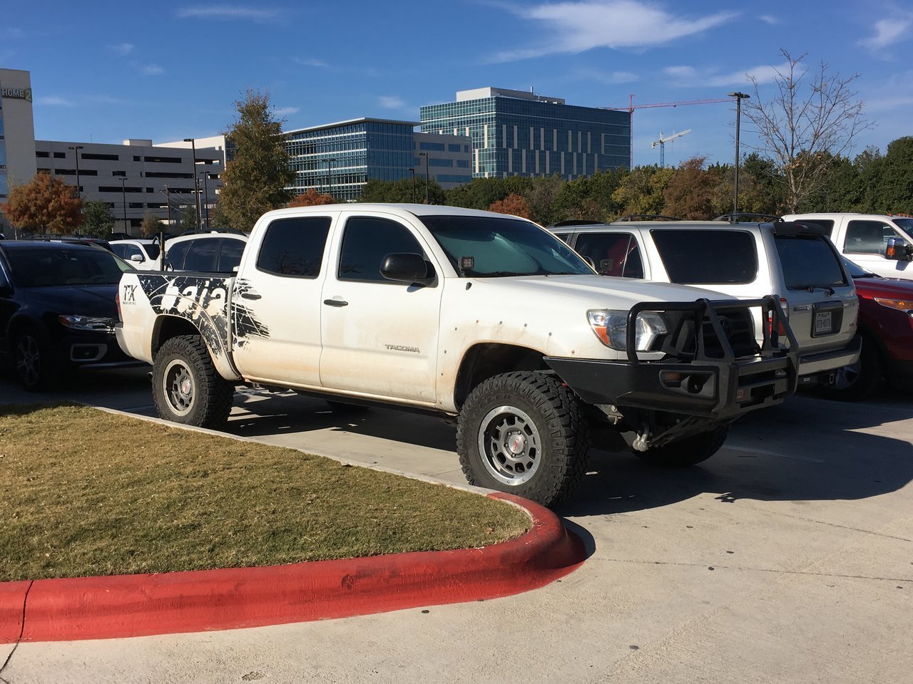 spotted taco 2.jpg