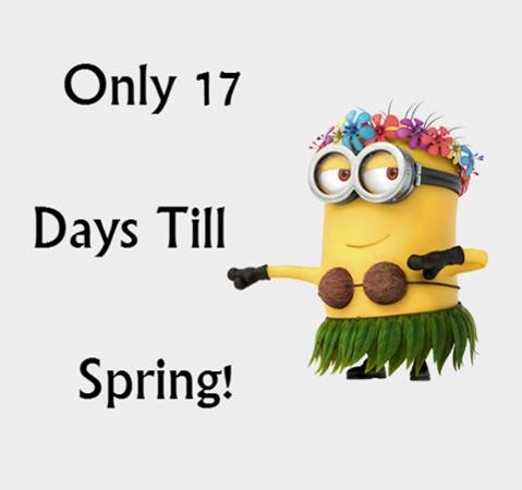 Spring.jpg