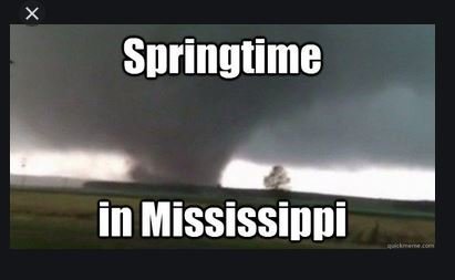 spring.jpg