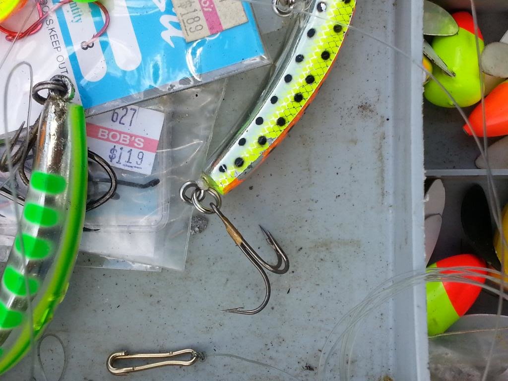 springchinook2_zps960422bc_28307a4b13b380656d81f15e87665873c302c448.jpg