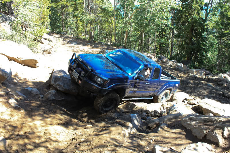 SpringCreek-20_4c3173be8591dd198f238617f32754d13cfb6da9.jpg