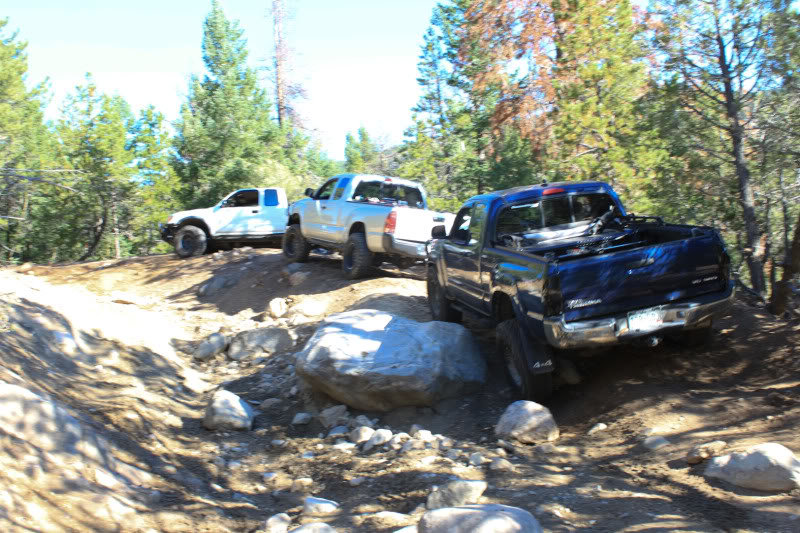 SpringCreek-9_1dc64e540355742f7975d6e4c4f73ad652d49ffd.jpg