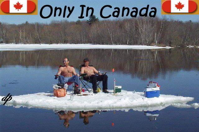 SpringinCanada_a447ac7d4037e9abd16032e08d92efb02116ff8f.jpg