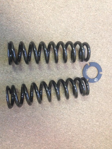 Springs 1.jpg