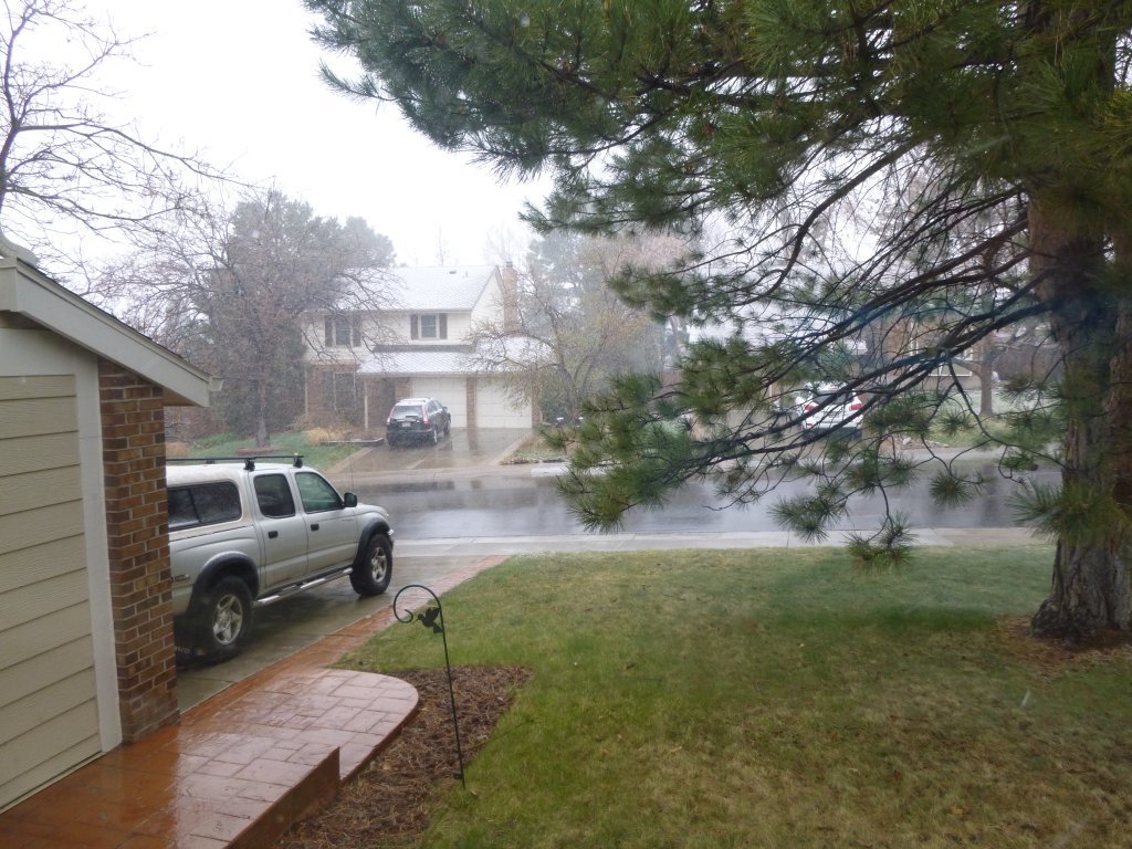 SpringWx.jpg
