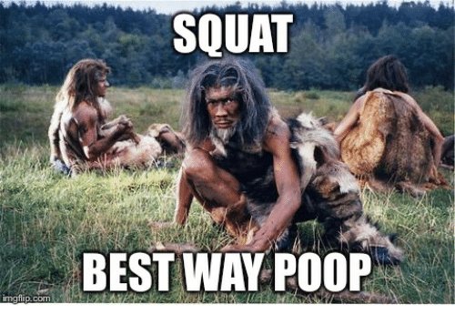 squat-best-way-poop-imgfip-com-28293762.jpg