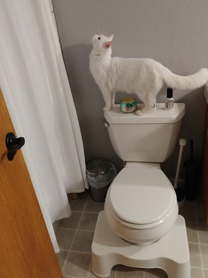 squattyPottyJeanLuc.jpg