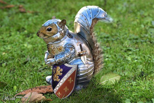 SquirrelArmor_45fbc640b18c416deebc5aeb0104c66bdde2eb36.jpg