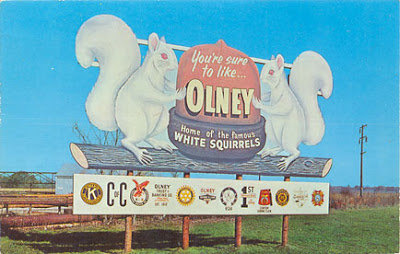 squirrelOlney081407.jpg