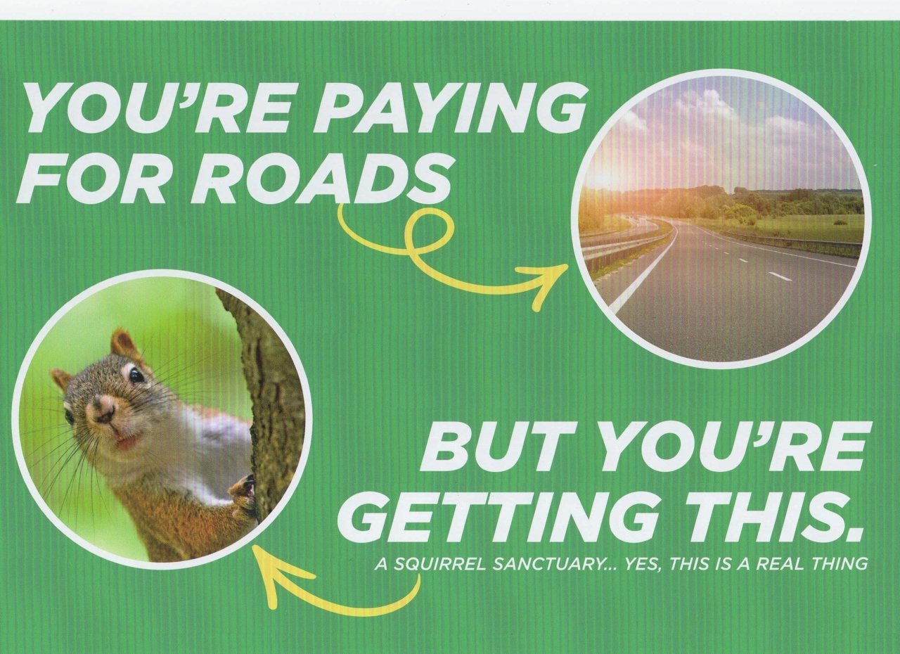 squirrels.jpg