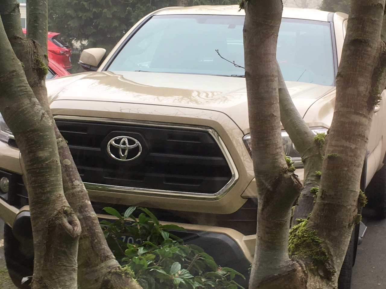 SR5 Grille.jpg