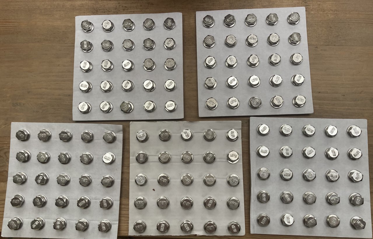 SS Lib Bolts.jpg