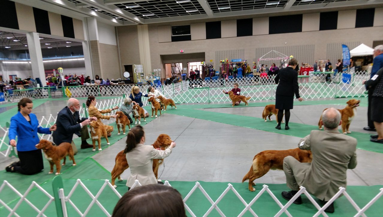 St. Cloud show first day.jpg