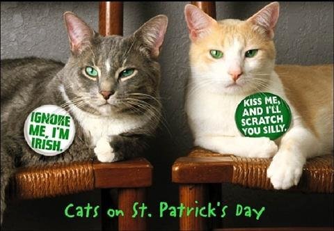 st paddy6.jpg