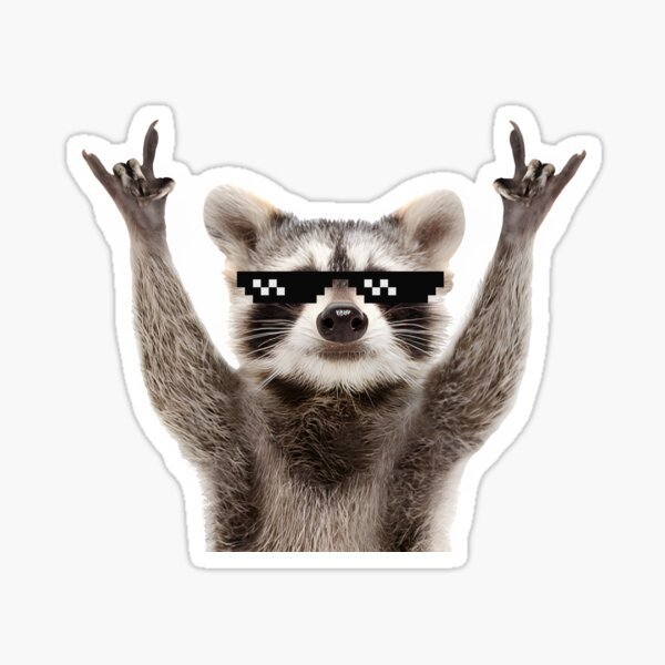 st,small,507x507-pad,600x600,f8f8f8.jpg