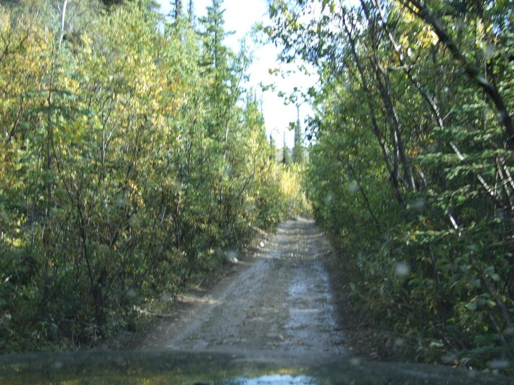 StampedeTrail5_zpsb4c45991_9ee3e77a8a8f0fd8531c5a22d2d372024620de4a.jpg