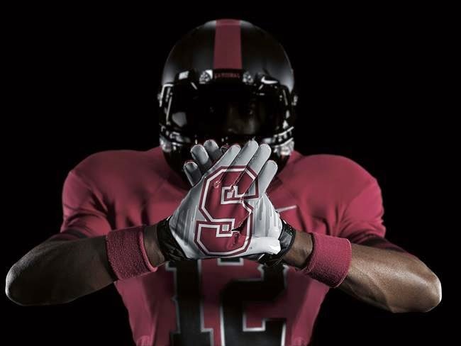 Stanford-Pro-Combat-Gloves_50a04a1e558f3944b69926070c030232a5354df7.jpg