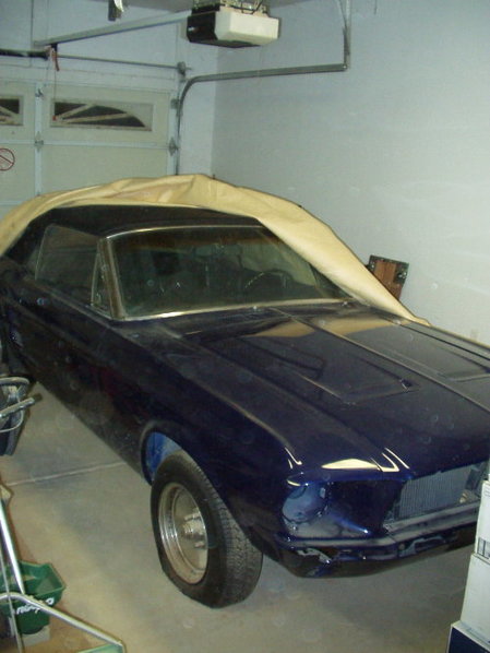stang.jpg