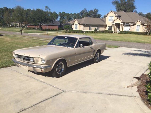 stang.jpg