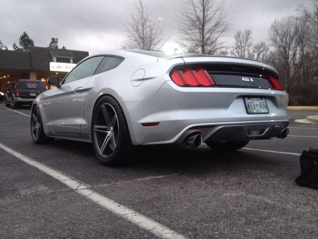 Stang.jpg
