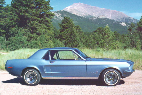 Stang.jpg