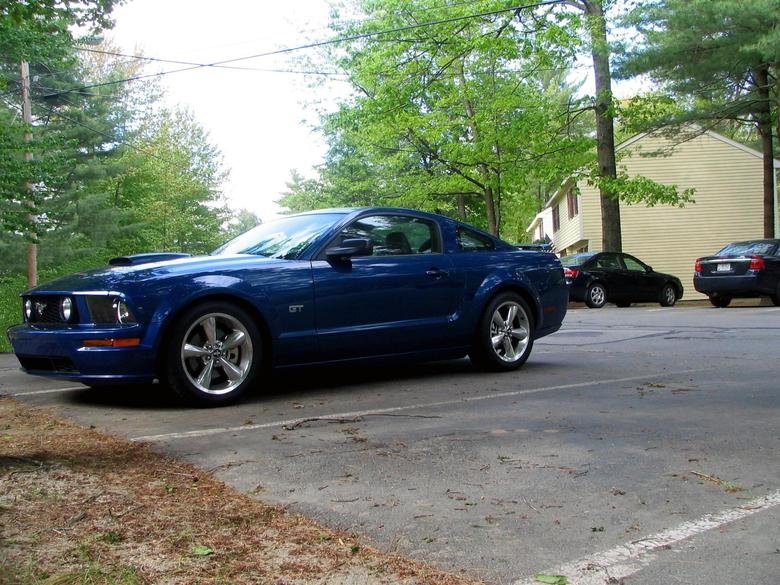 stang.jpg