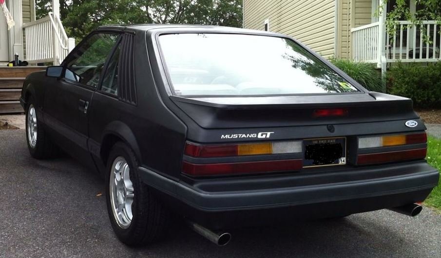 stang1.jpg