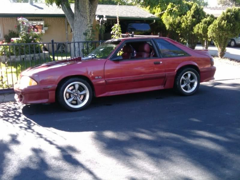 stang2_66a27c8013c7df55af1baaafa0a00d6fa0814cf1.jpg