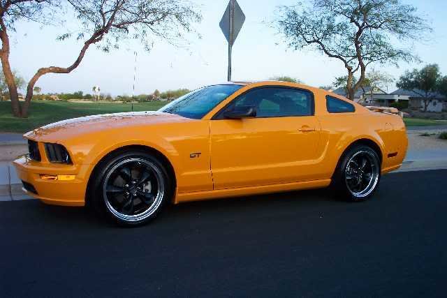 stang6_c492db268eded0fc6be4504d14269d7226e65018.jpg
