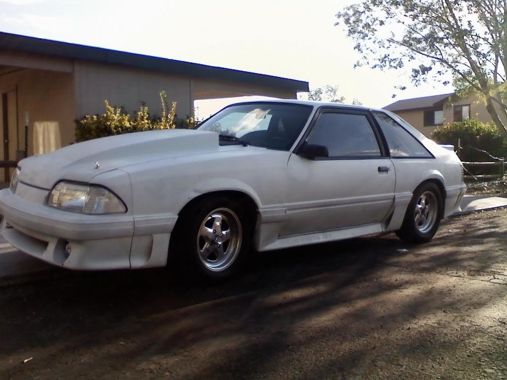 stang_77433b1b1bc0f0b7a566d684f159318ae689b4ce.jpg
