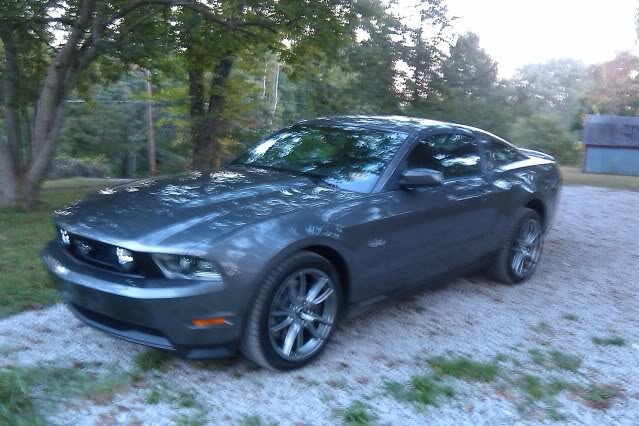 stang_822dfb5f8723bf16fa9d5984847aa722f71300db.jpg