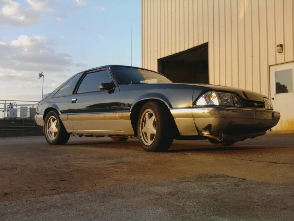 stang_bdd75fca5d5b0c443e17d3d3b13cbfec43bab11c.jpg