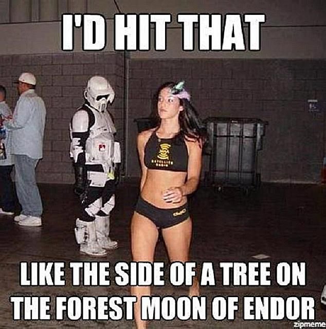 star-wars-memes-hit-tat-tree-58b8c8975f9b58af5c8c6be6.jpg