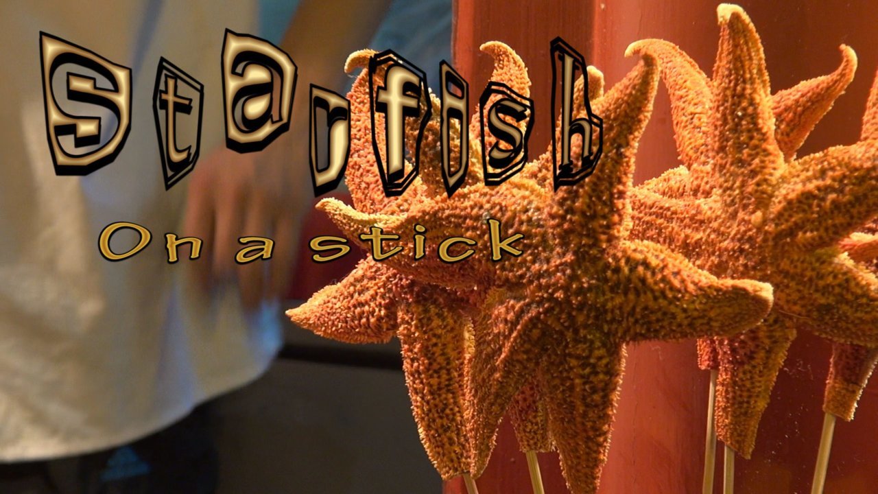 Starfish-Final.Still001.jpg