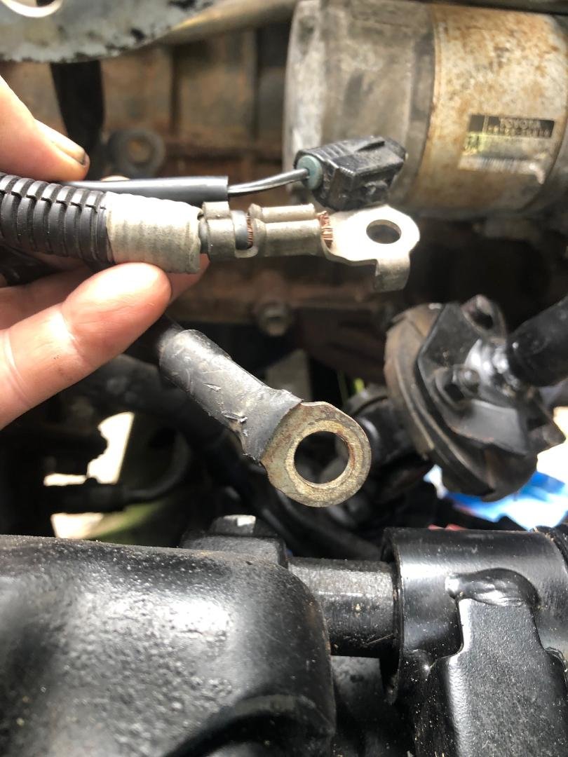 starter wires.jpg