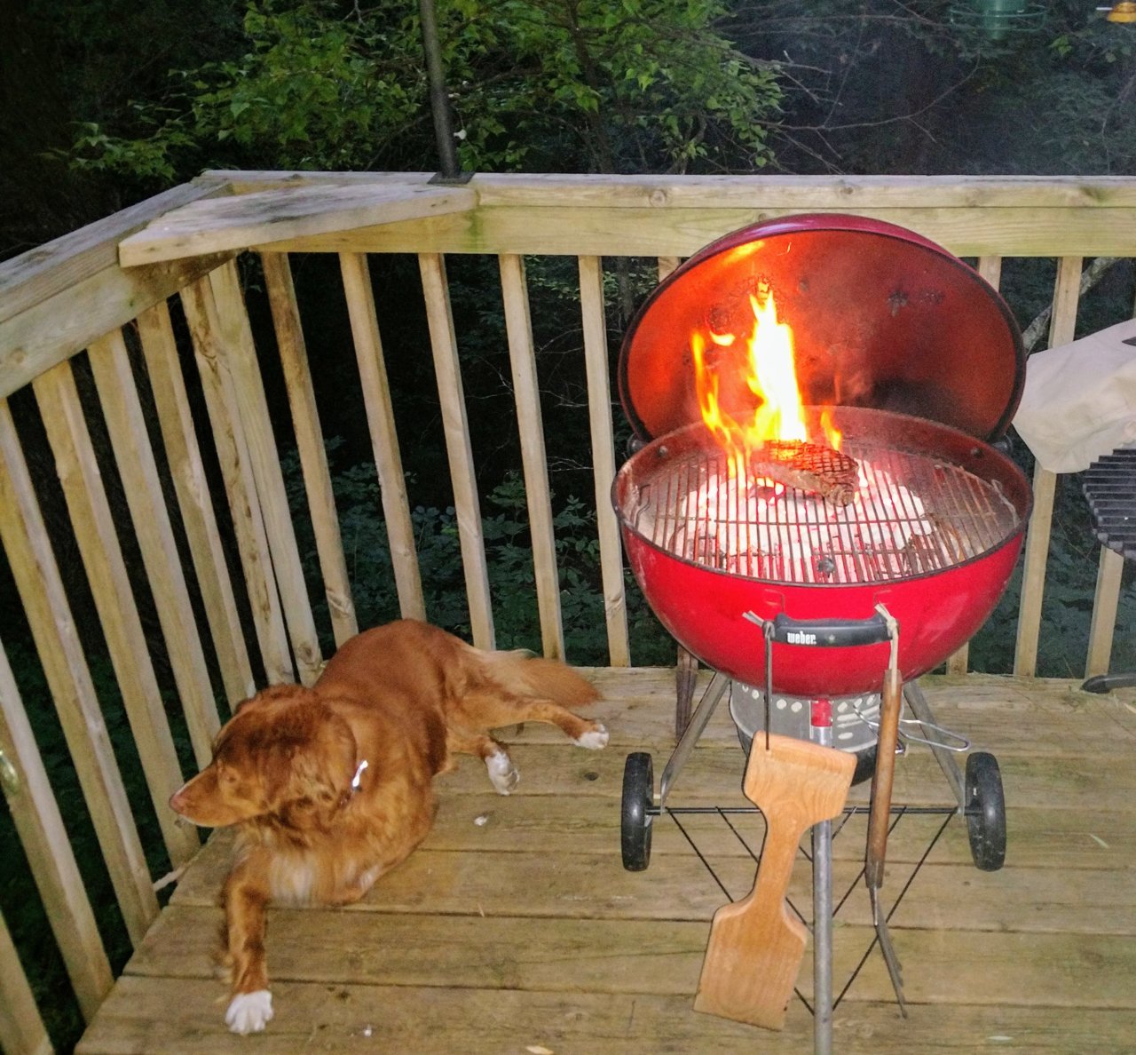 Steak sear.jpg