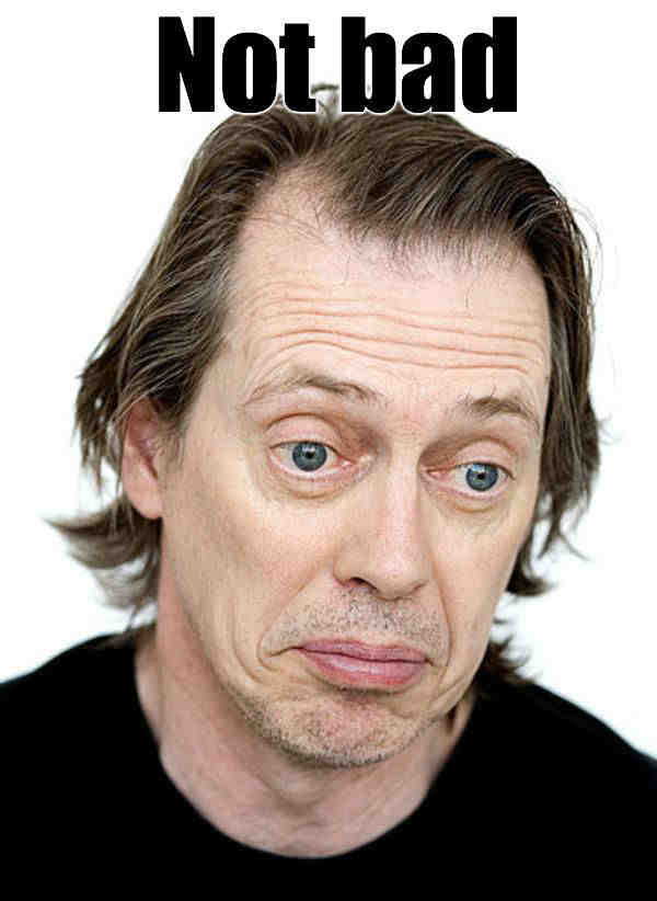 steve-buscemi-eyes-not-bad-meme.jpg