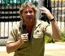 Steve_Irwin_d8afe1958d9abd5f280025e5b030c3c038ddf9dd.jpg