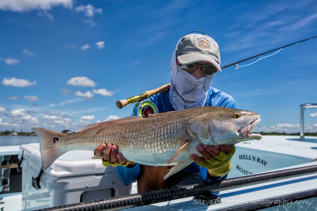 Steve_Redfish_LemonBay7_99d26e8419aaa3aa7a0cdbcc8b4e7406462b90da.jpg
