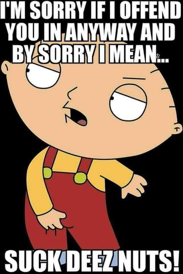 stewie.jpg