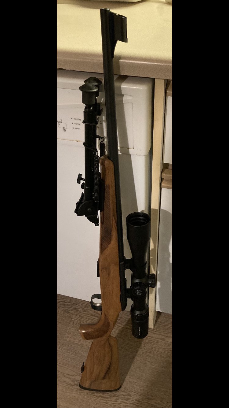 Steyr Zephyr II.png