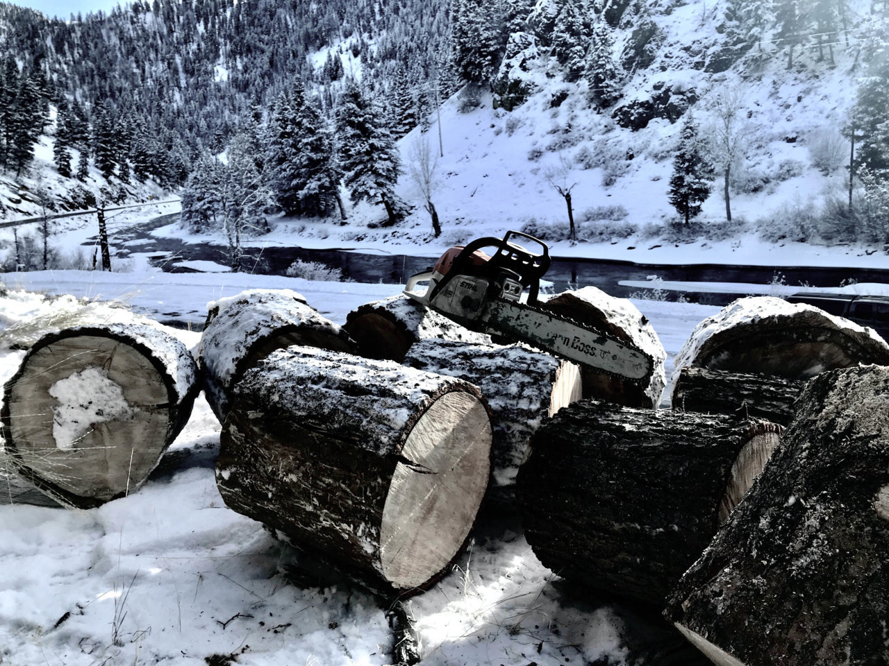 Stihl 2_2021 Salmon R.jpg