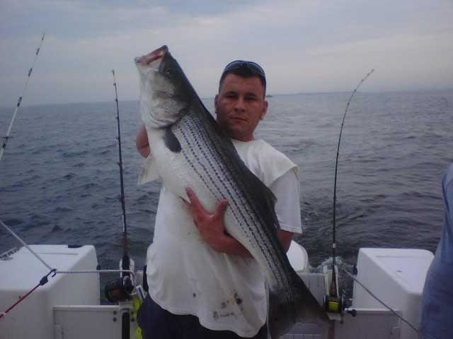 stipper42inch_63623b8c1babd147c1ea4abb181eeab0dc96fb4e.jpg