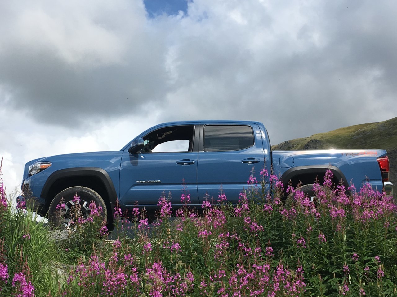 Stitch Profile.jpg