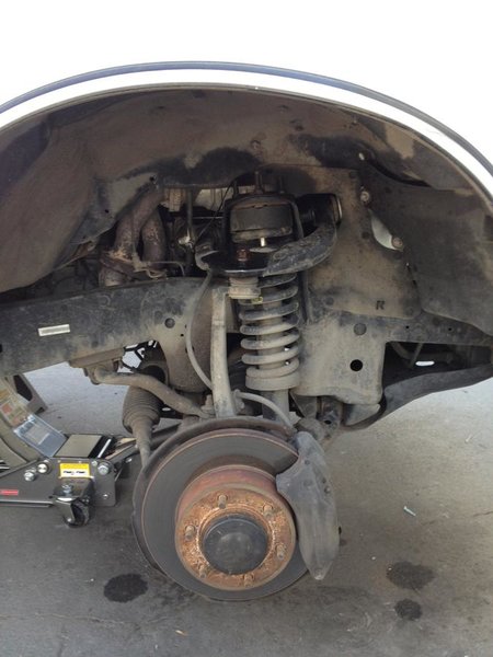 stock coil.jpg