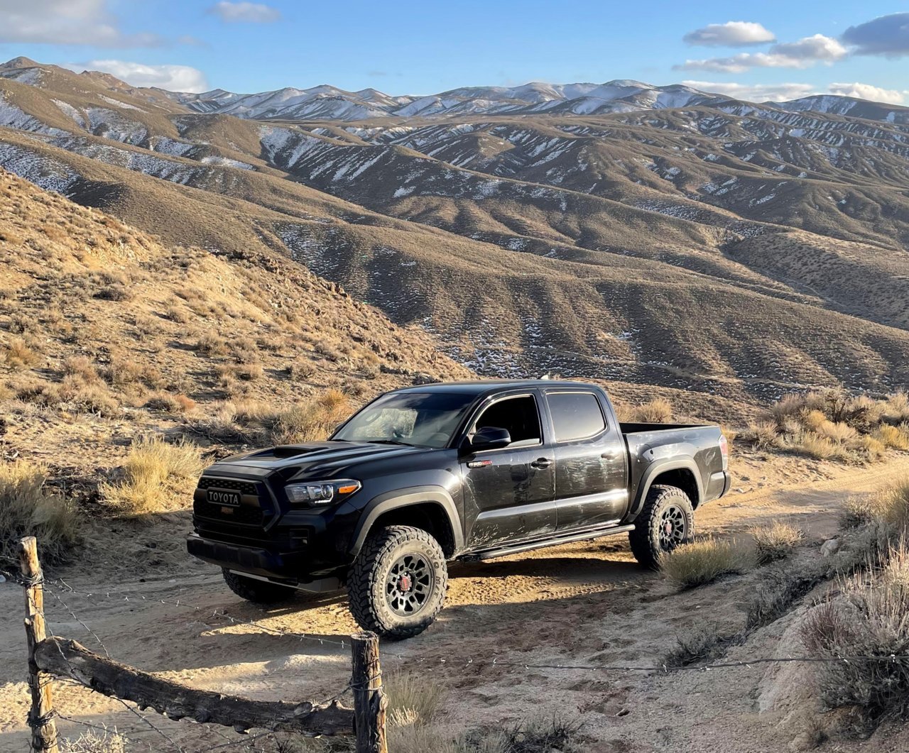 Stock on toyos_.jpg