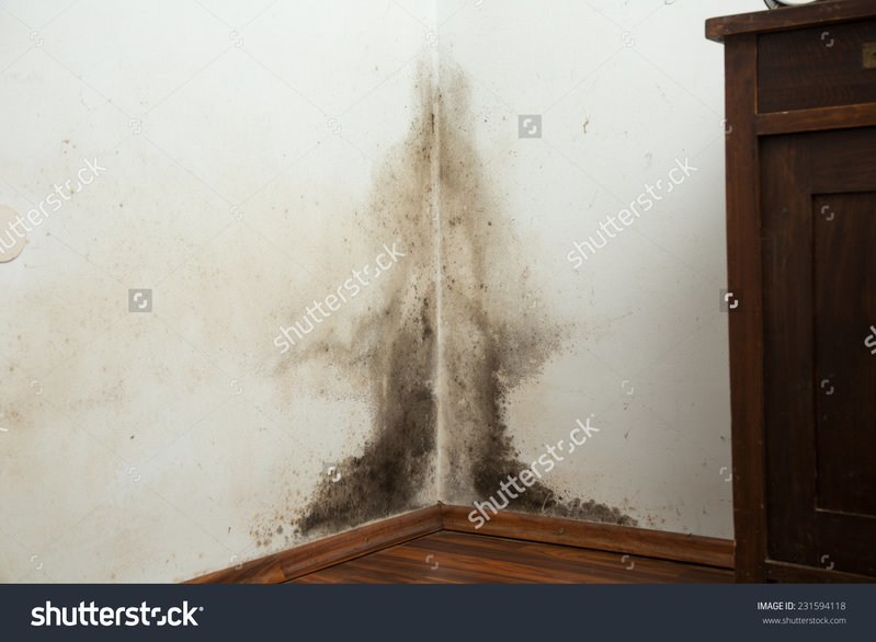 stock-photo-black-mold-buildup-in-the-corner-of-an-old-house-231594118.jpg