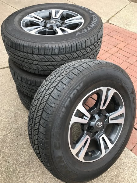 stock4.jpg