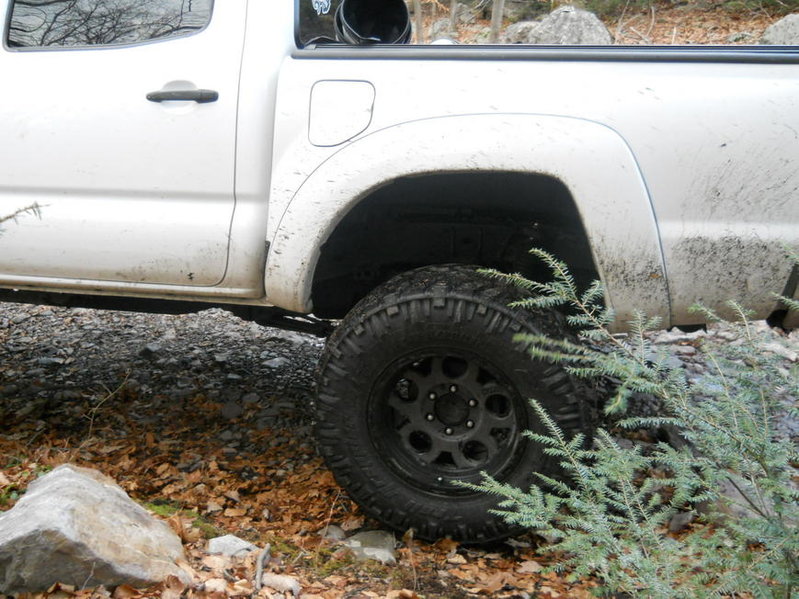 Stokes 12-4-10 037.jpg